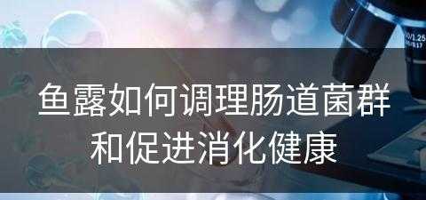 鱼露如何调理肠道菌群和促进消化健康